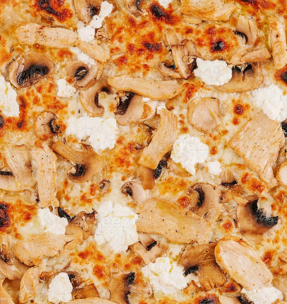 Pizza with chicken and mushrooms close up photo