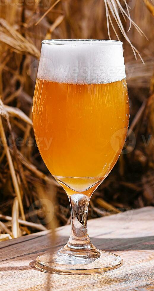 light, unfiltered glass of beer in a wheat field photo