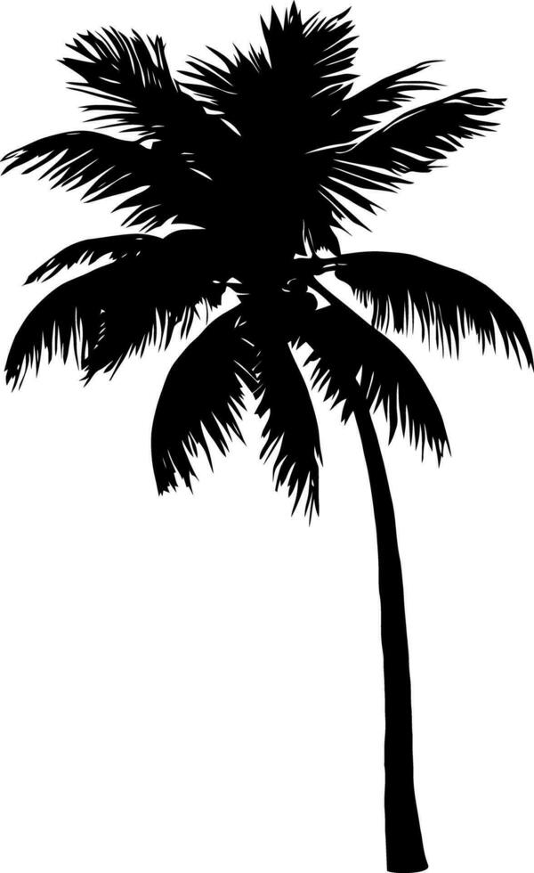 Palm tree silhouette isolated on white background. Vector Illustration.