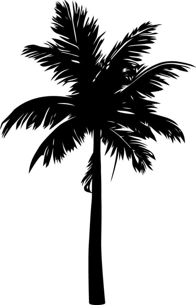Palm tree silhouette isolated on white background. Vector Illustration.
