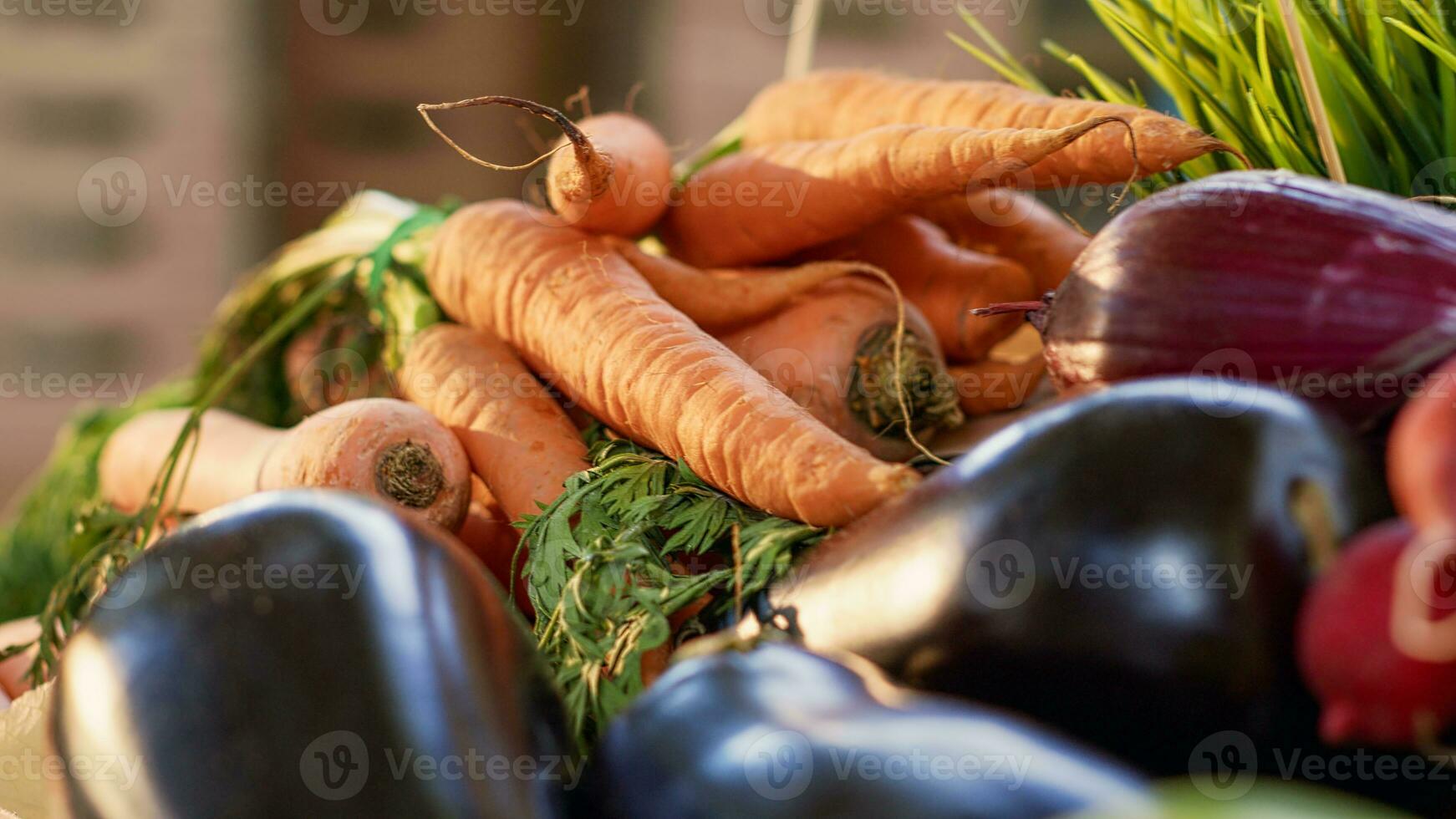 Variety of colorful fruits and vegetables grown in garden on display at outdoors market, seasonal harvest. Various veggies and raw organic products sold in boxes. Handheld shot. Close up. photo