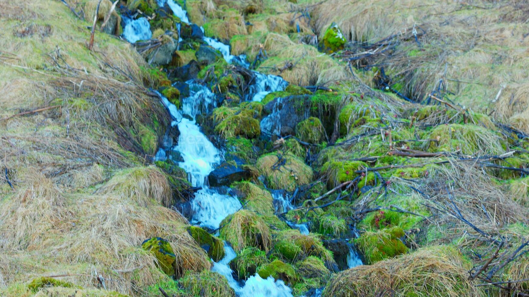 Water stream from icelandic waterfall running down off of cliff, river flow falling off mountain or hill in reykjavik. Majestic natural seljalandsfoss cascade in iceland, nordic scenery. photo