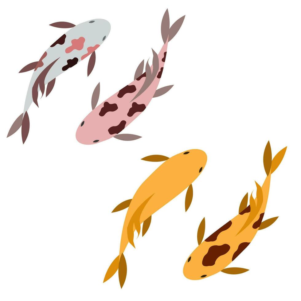 diseño conjunto ilustración koi y oro pescado vector
