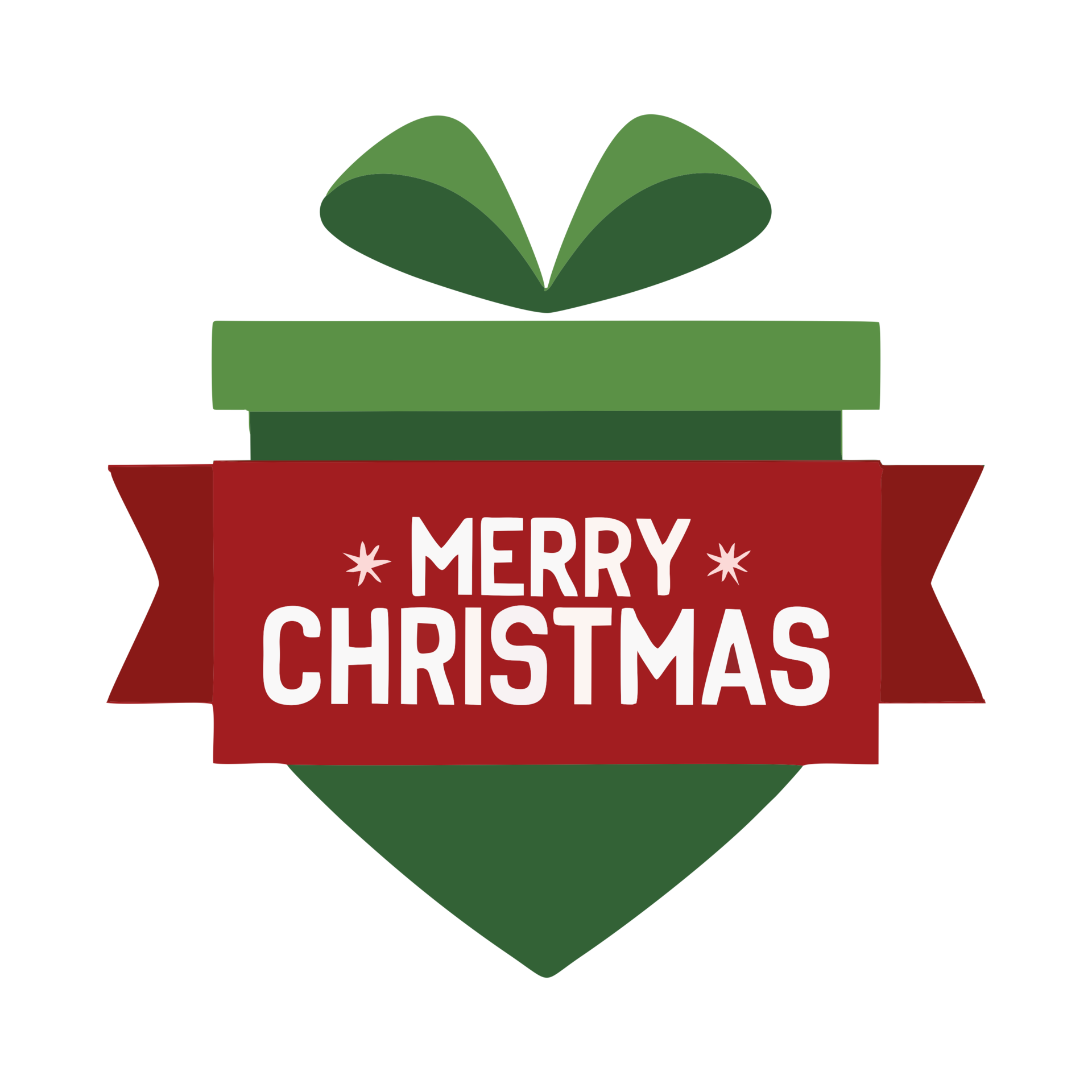 Merry Christmas Gift