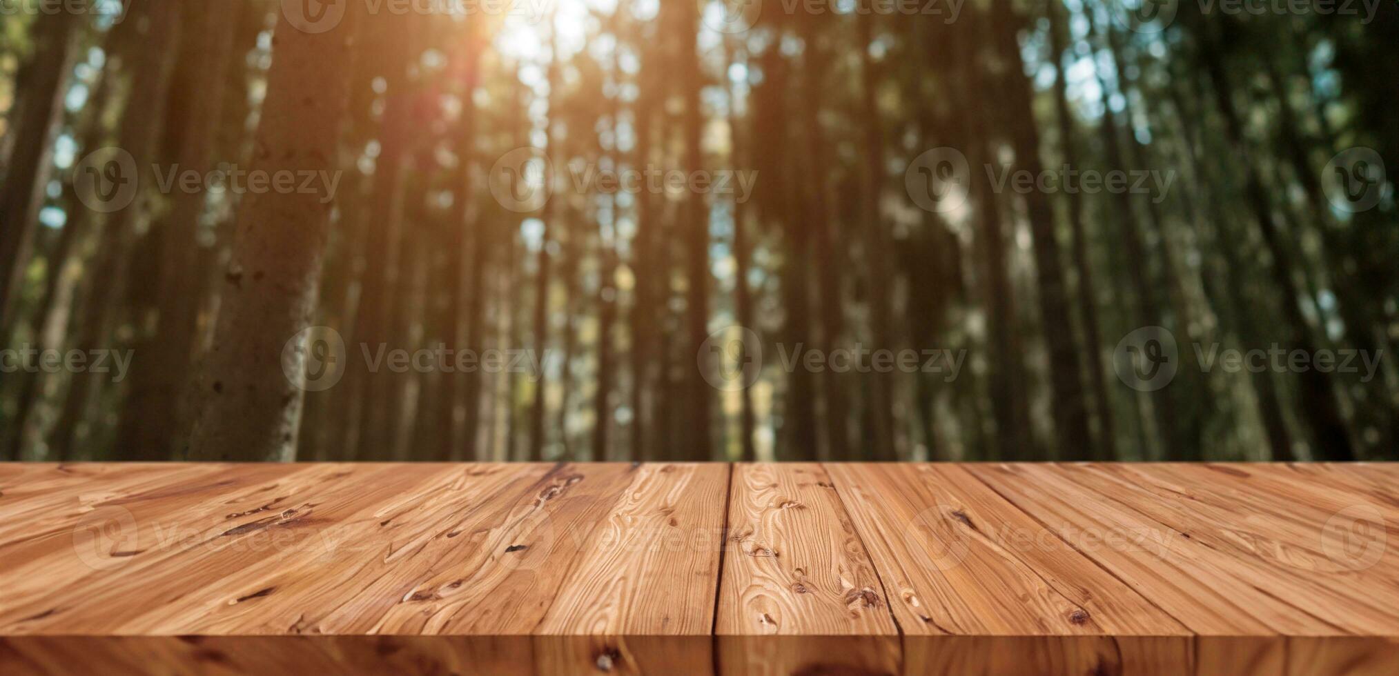 Blur deep forest pine black wood in high mountain with blank wooden board for adventure products advertising montage background photo