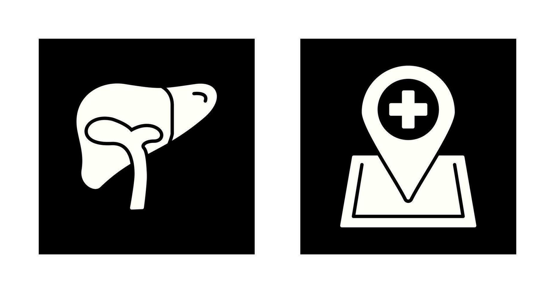 Liver and Location Icon vector