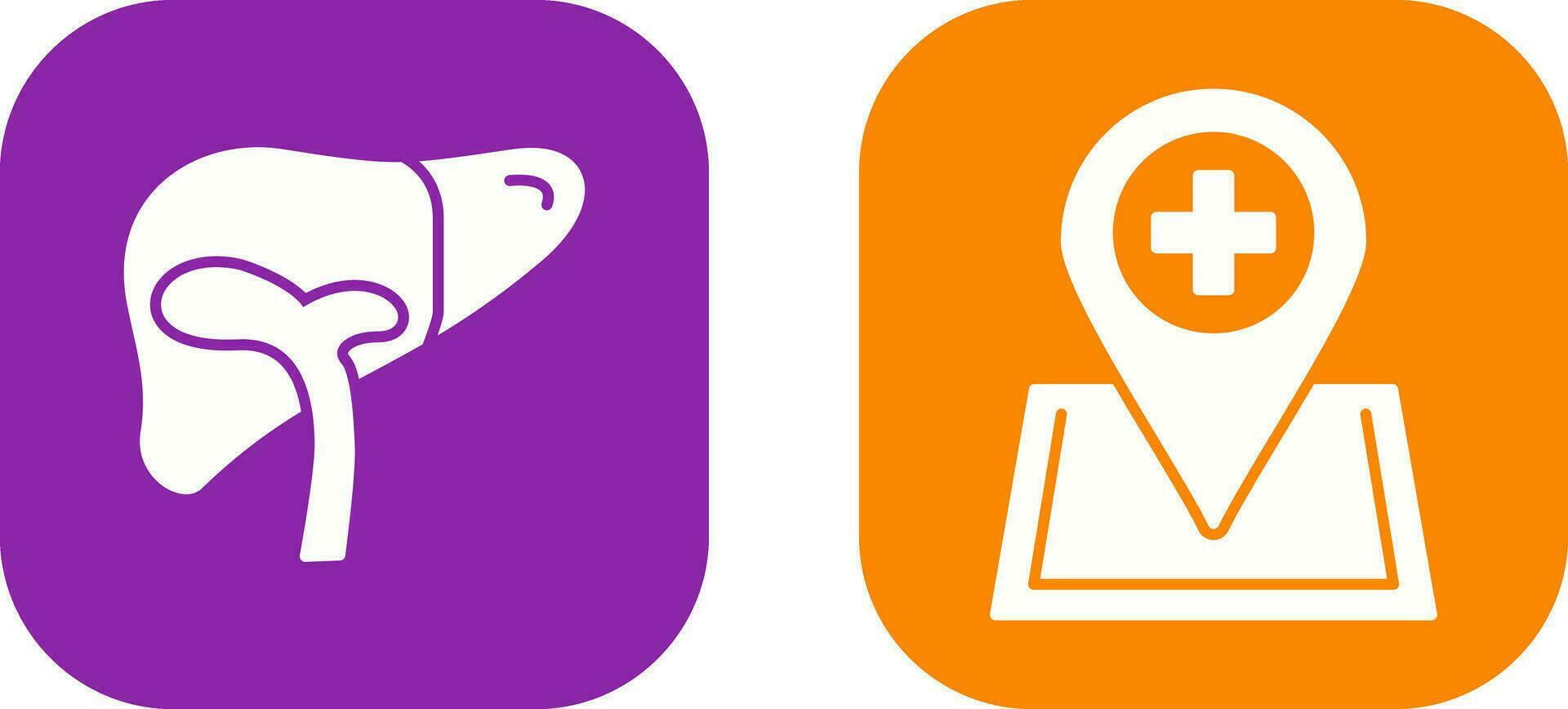 Liver and Location Icon vector