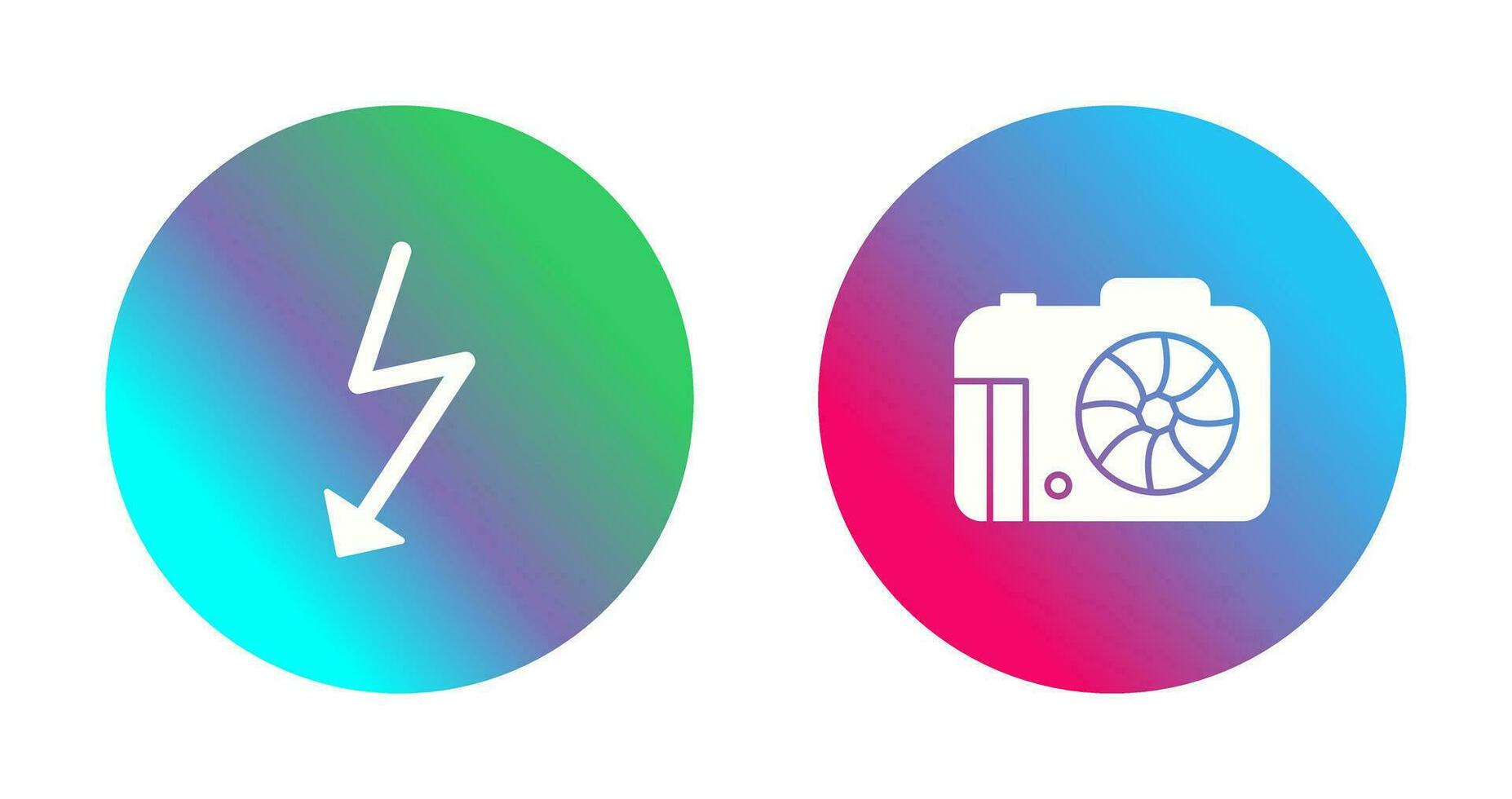 flash and camera Icon vector