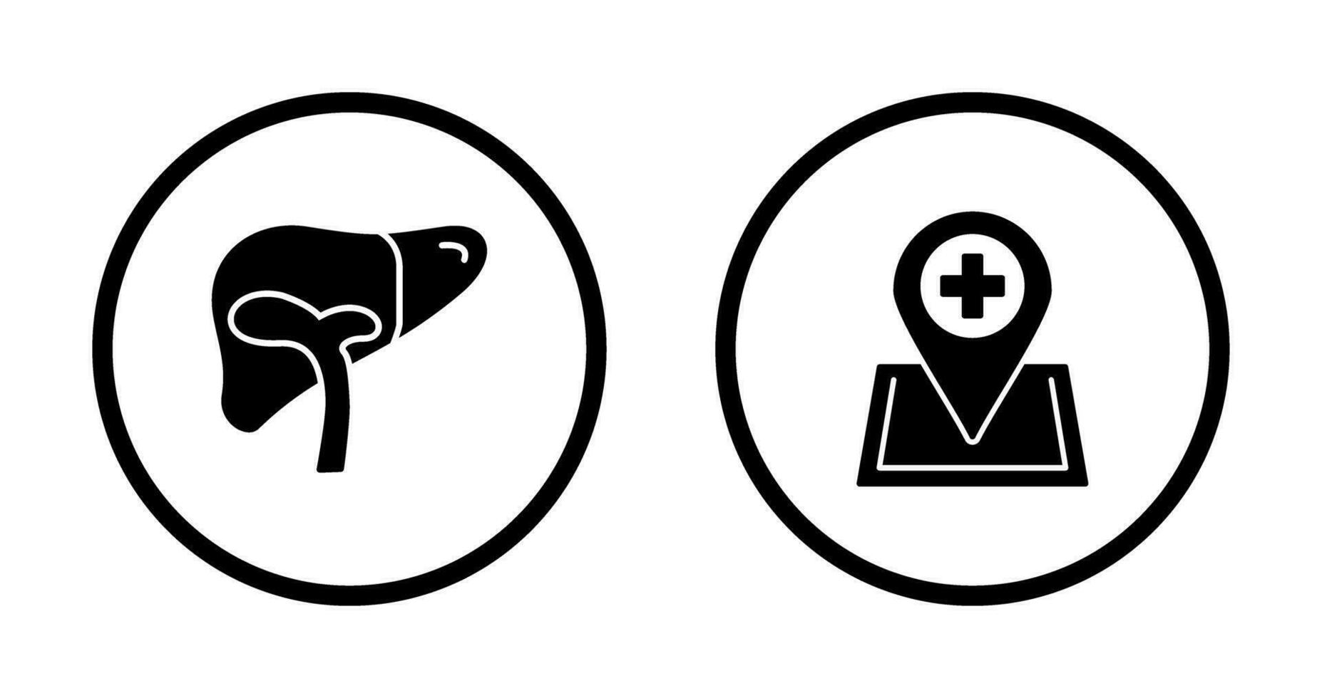 Liver and Location Icon vector
