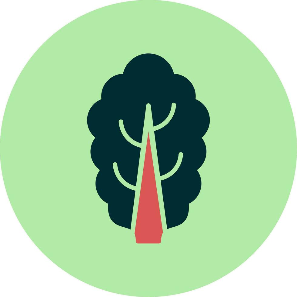 Chard Vector Icon