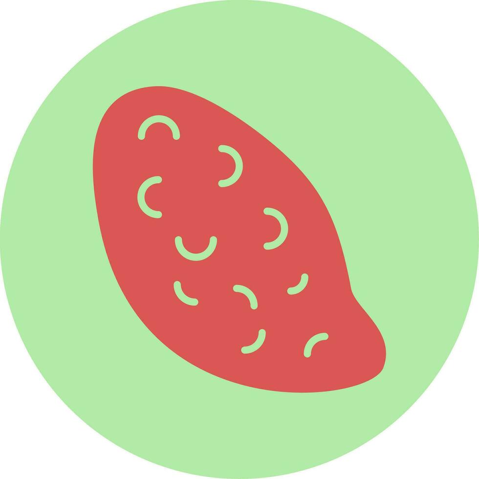 Sweet Potato Vector Icon