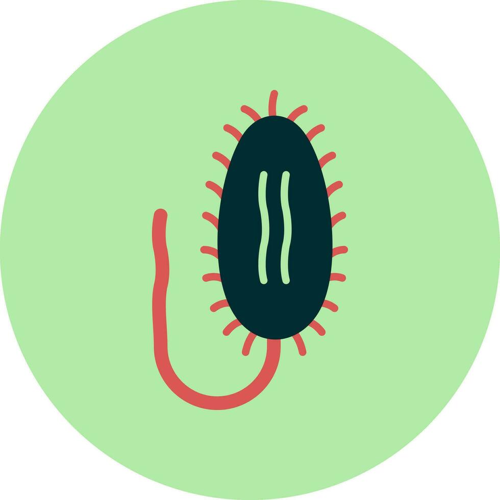 Anaplasma Vector Icon