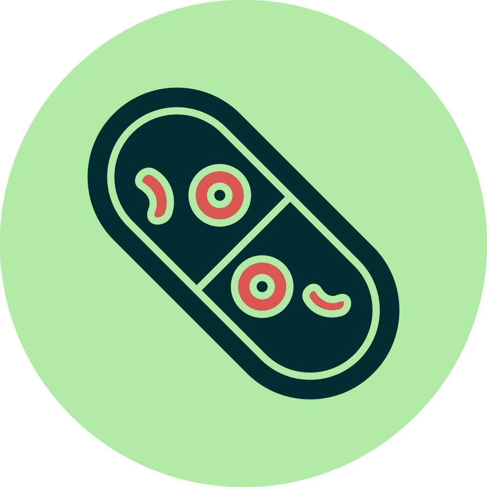 Cylindrocystis Vector Icon