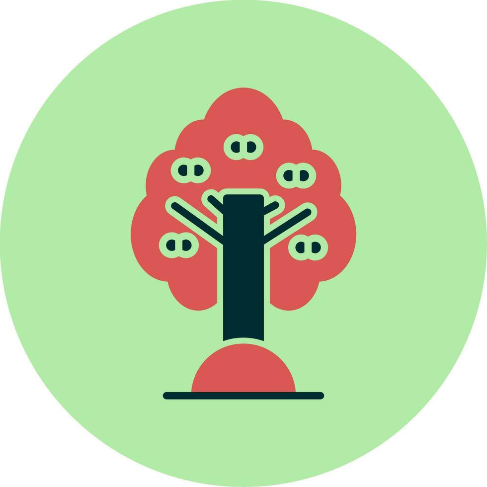 Apricot Vector Icon