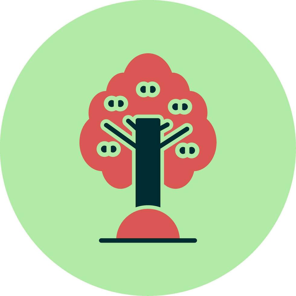 Apricot Vector Icon