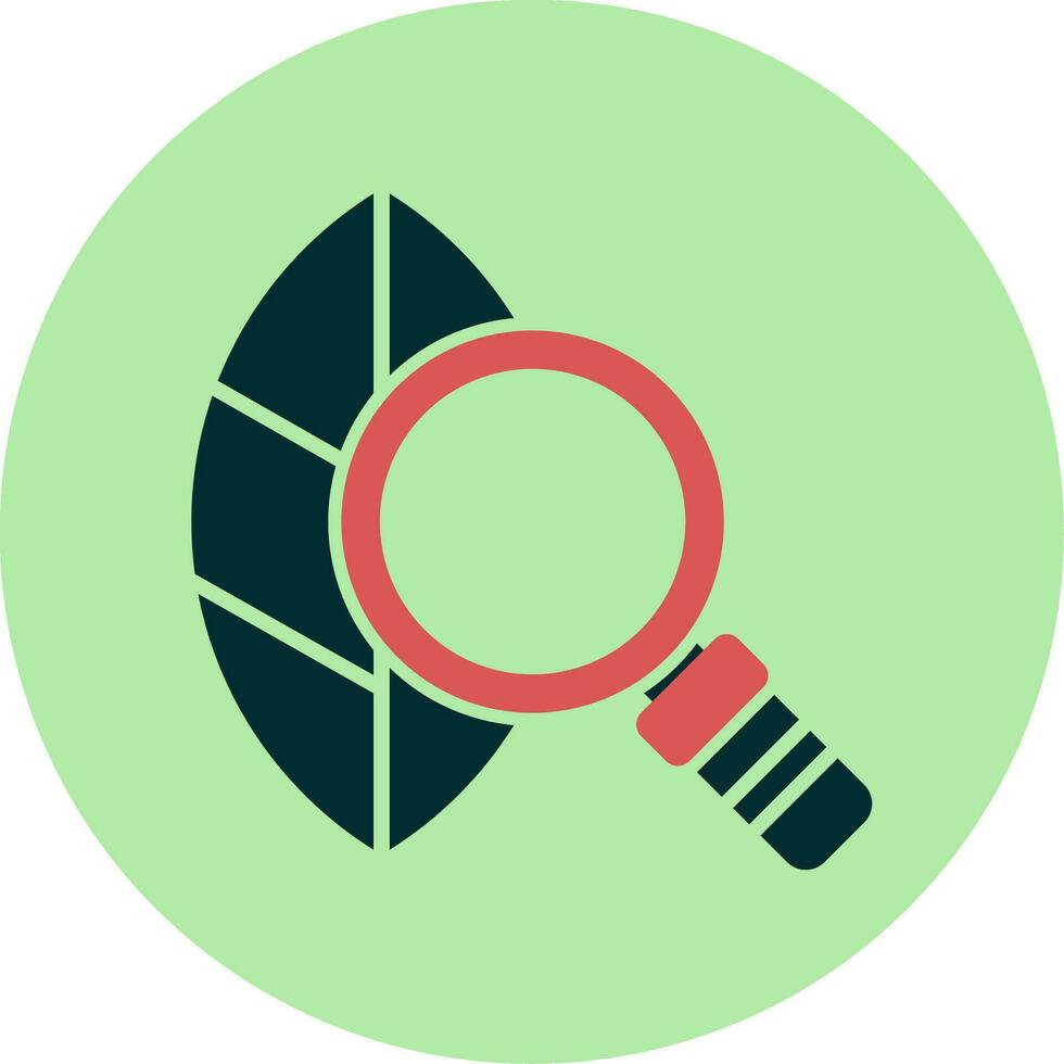 Leaf Vector Icon