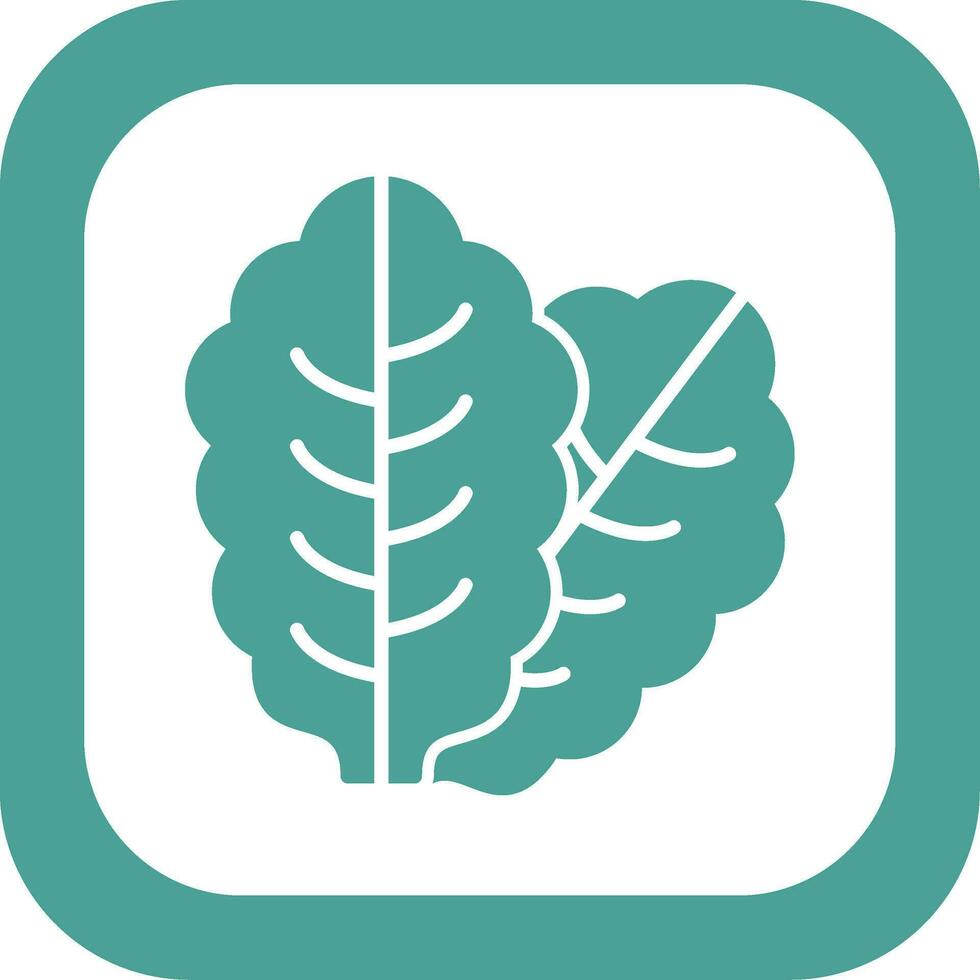 Lettuce Vector Icon