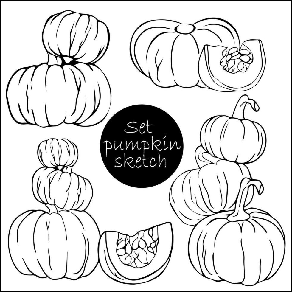Set Pumpkins with doodles. Vector paint draws by hand. Stock illustration in sketch style. Autumn harvest. Halloween celebration.