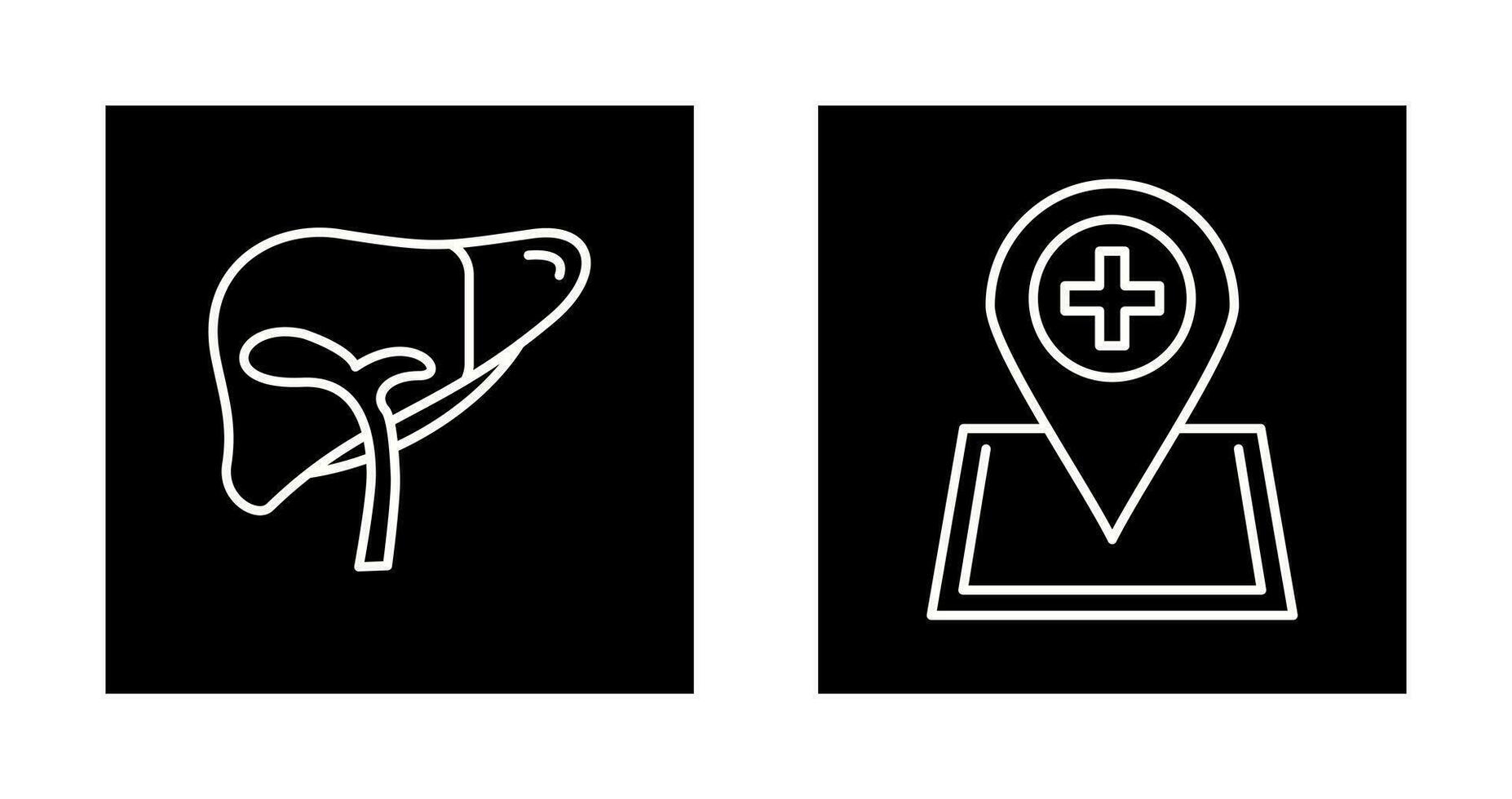Liver and Location Icon vector