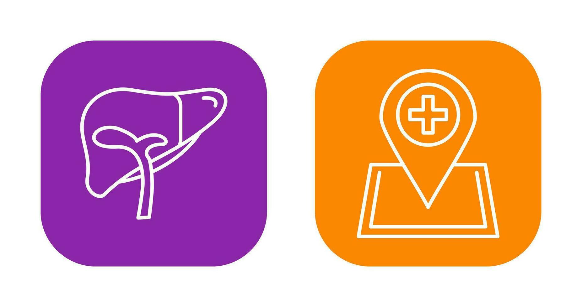 Liver and Location Icon vector