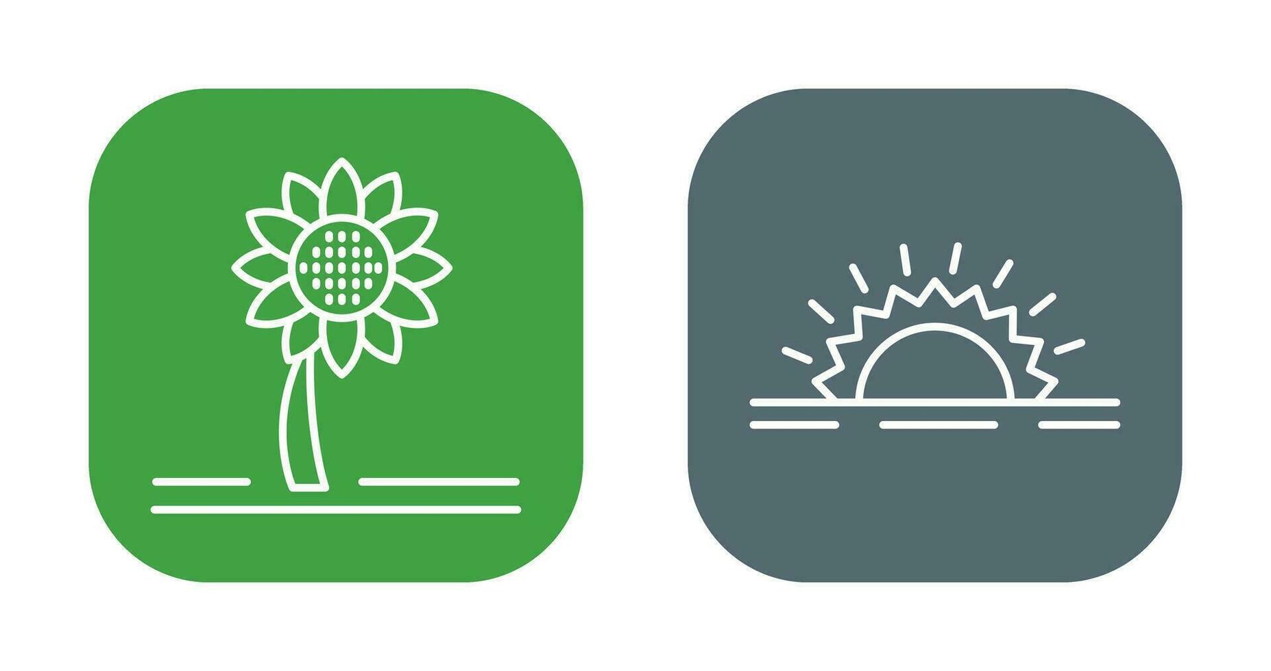 Sunflower and Sunshine Icon vector