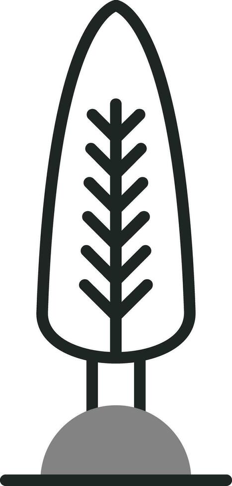 Cypress Vector Icon