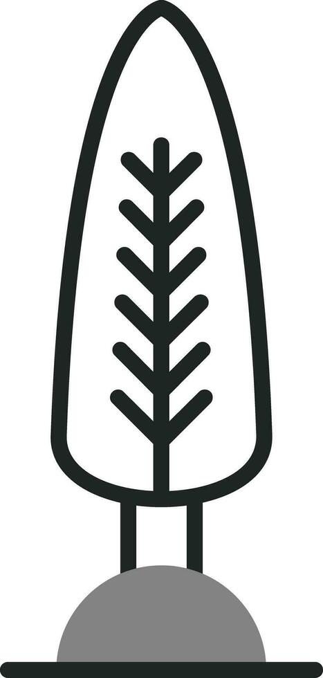 Cypress Vector Icon