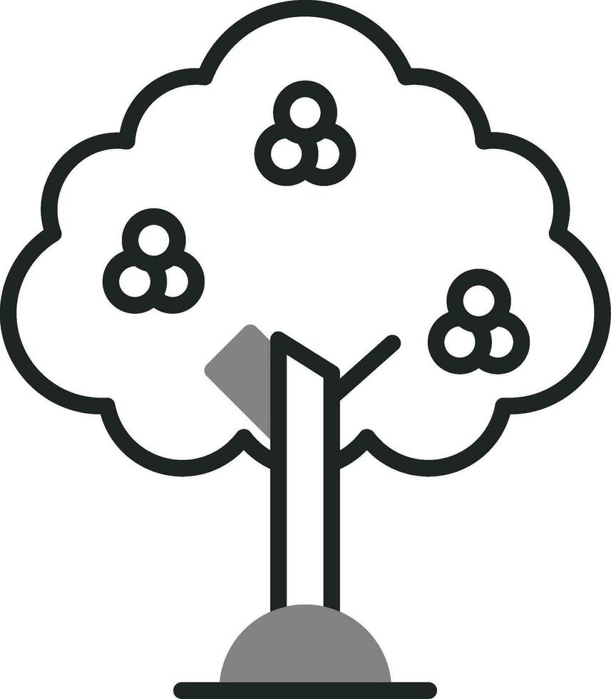 Juniper Vector Icon