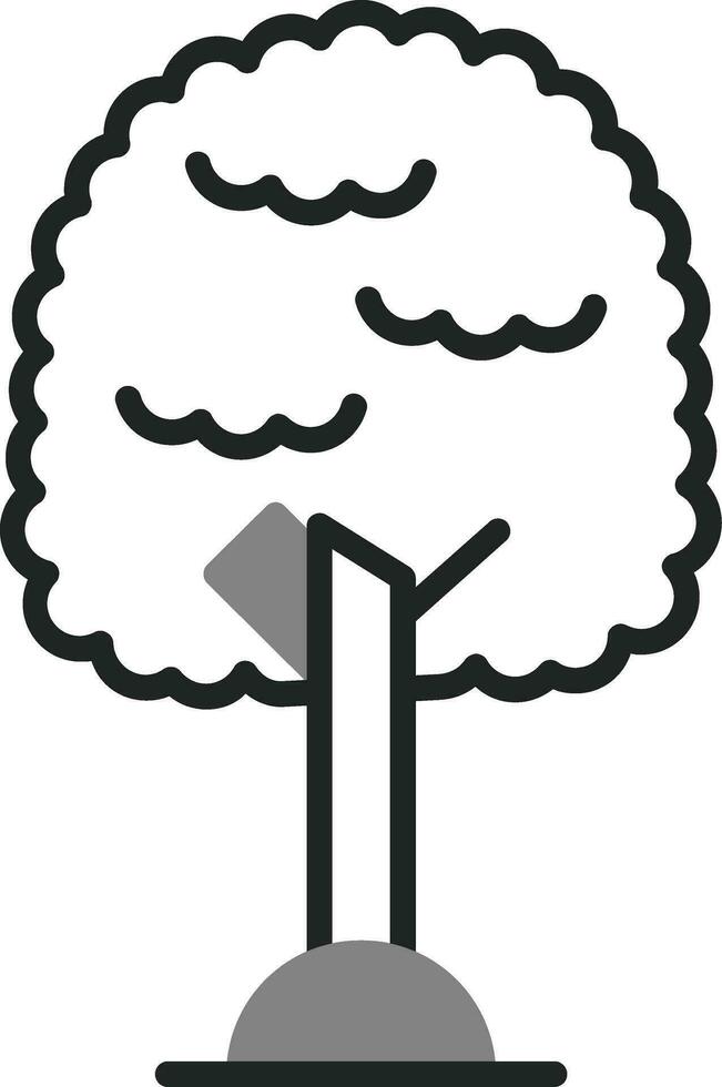 Pecan Vector Icon