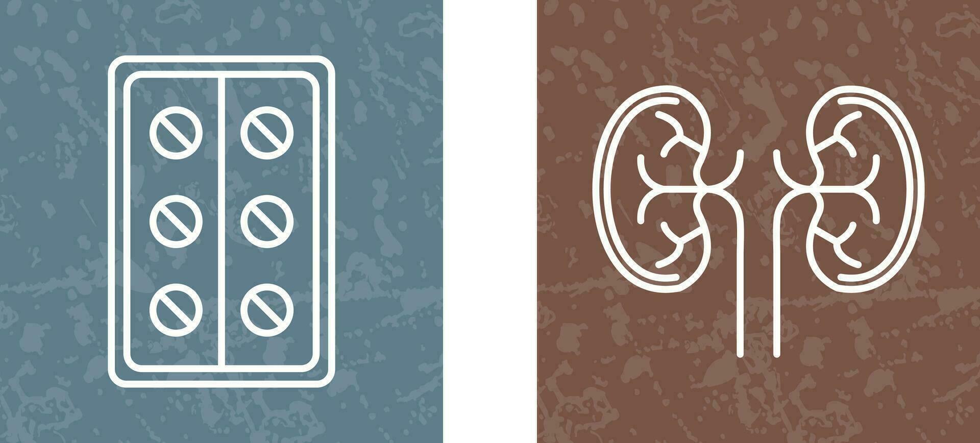 Pills and Kidney Icon vector