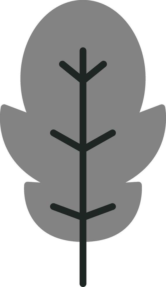 Arugula Vector Icon
