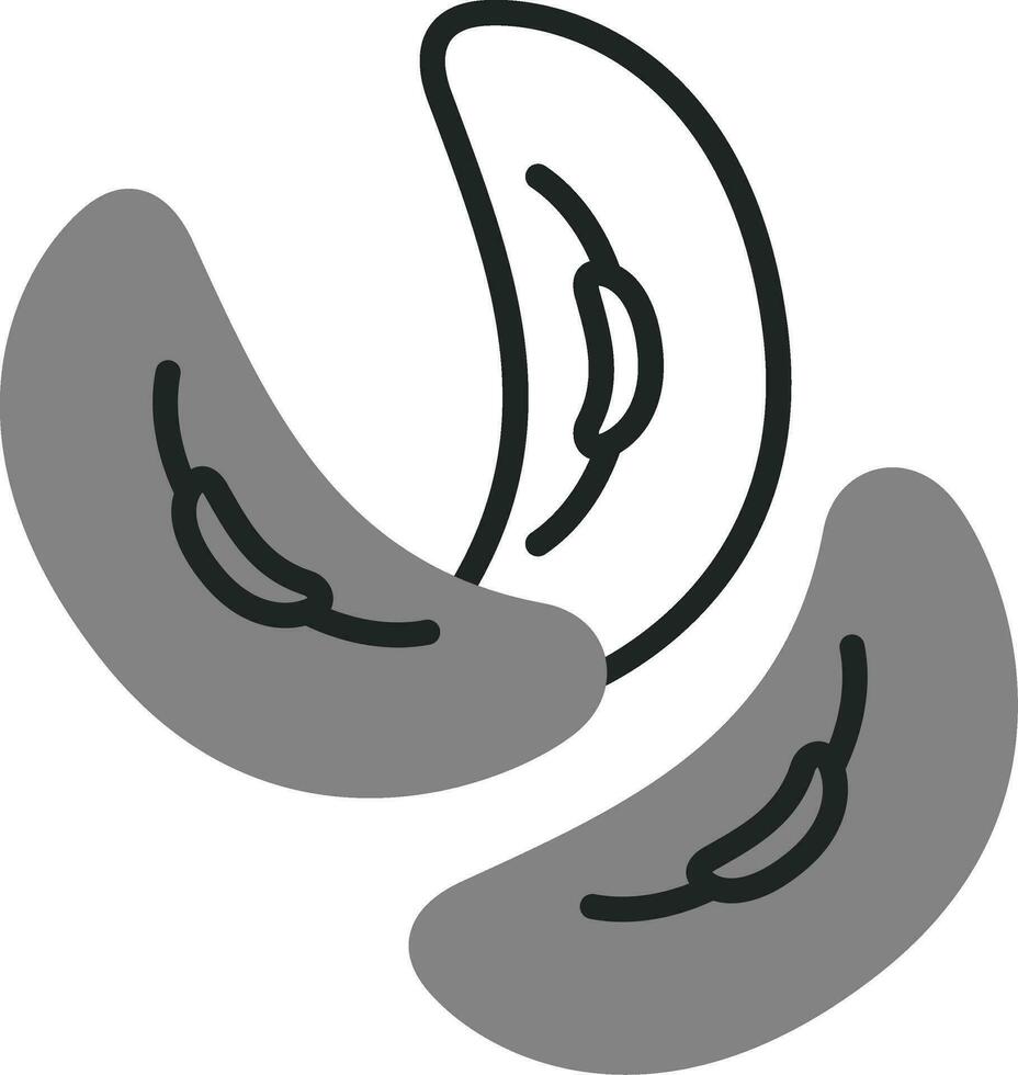 riñón frijol vector icono
