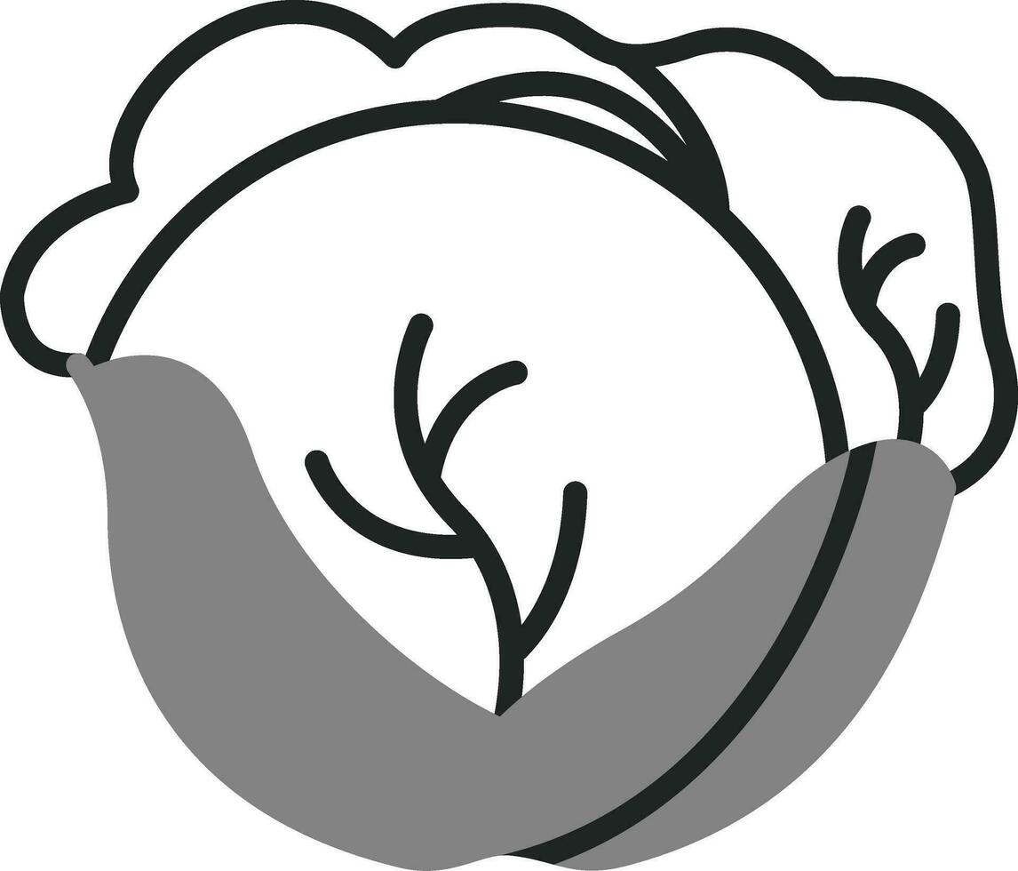 Red Cabbage Vector Icon