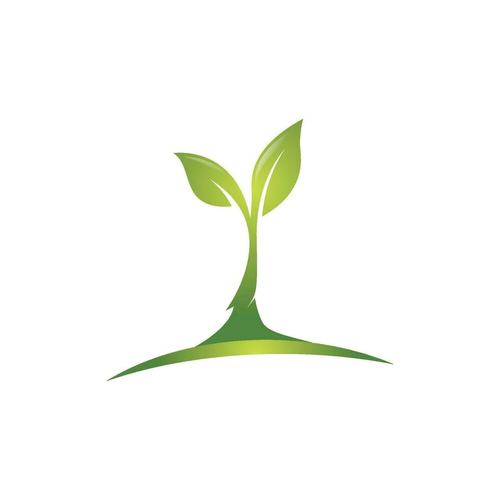 logotipos de la ecología de la hoja del árbol verde vector