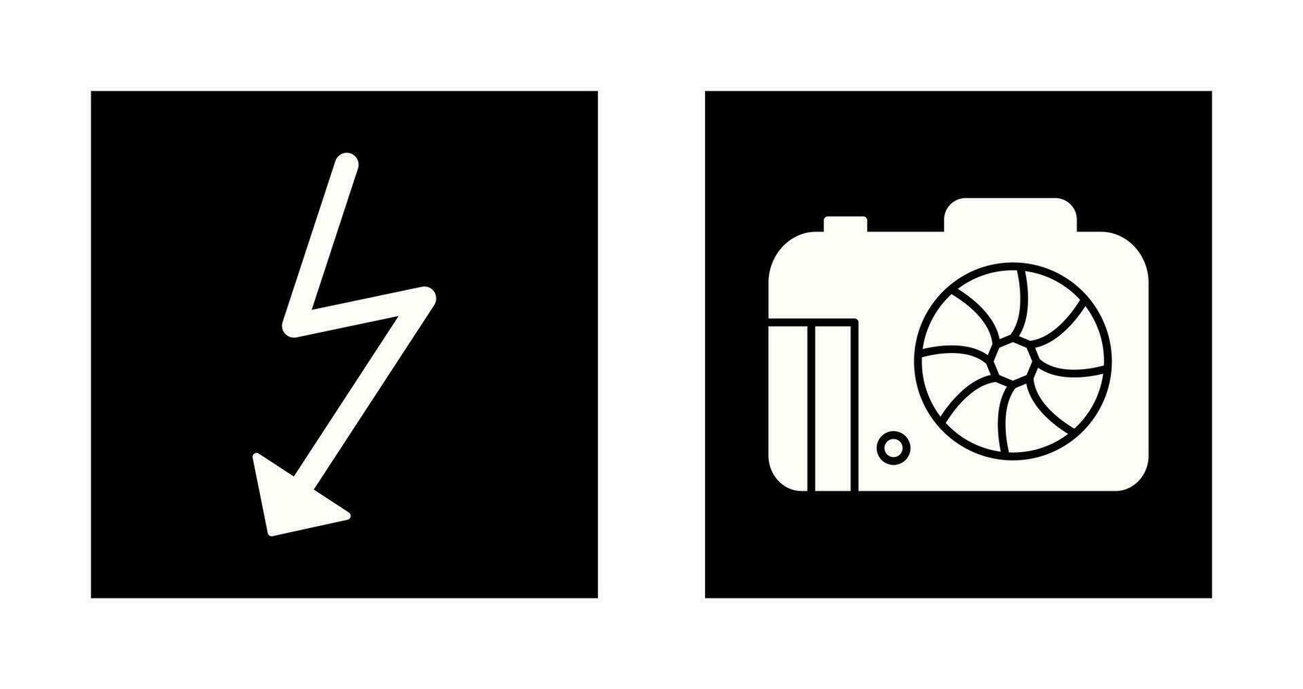 flash and camera Icon vector