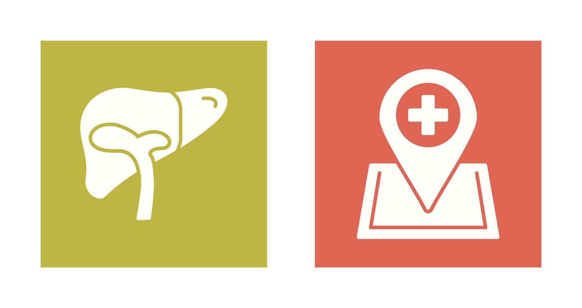 Liver and Location Icon vector