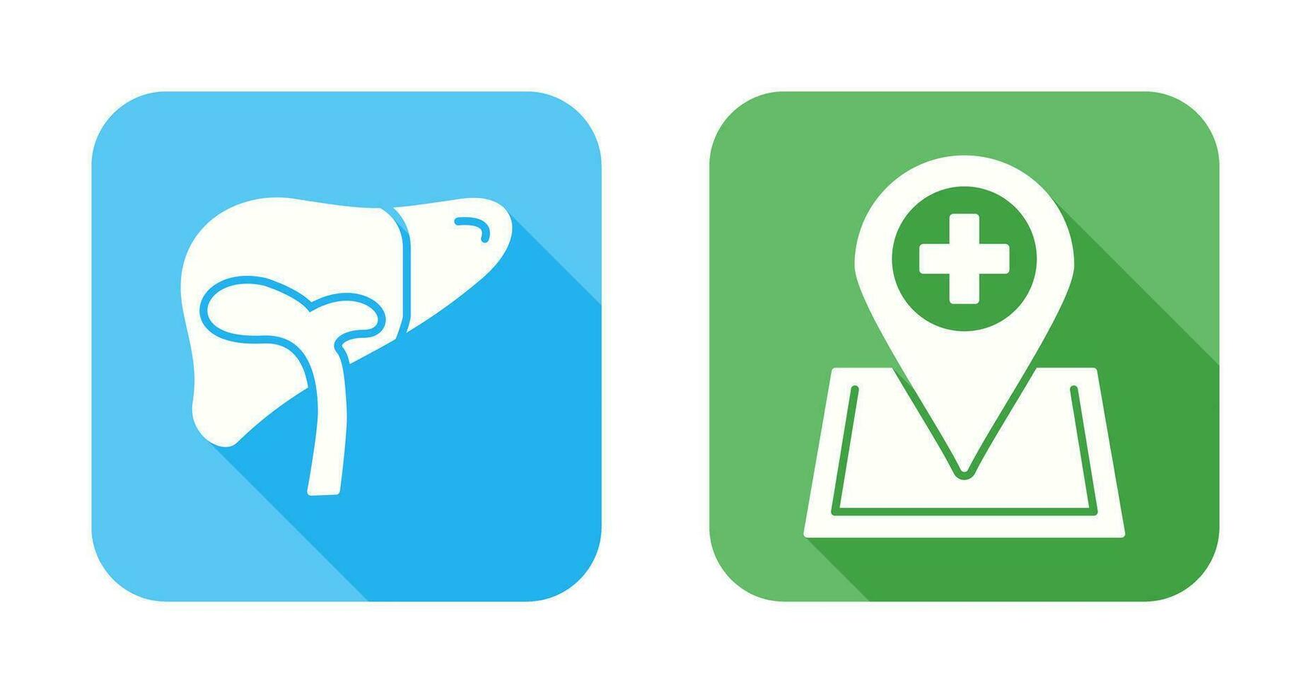 Liver and Location Icon vector