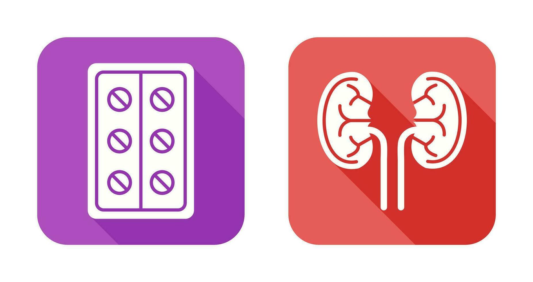 Pills and Kidney Icon vector