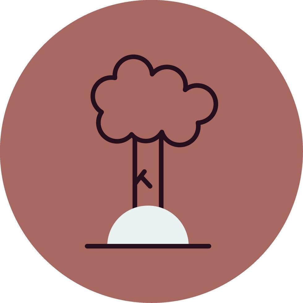 Beech Vector Icon