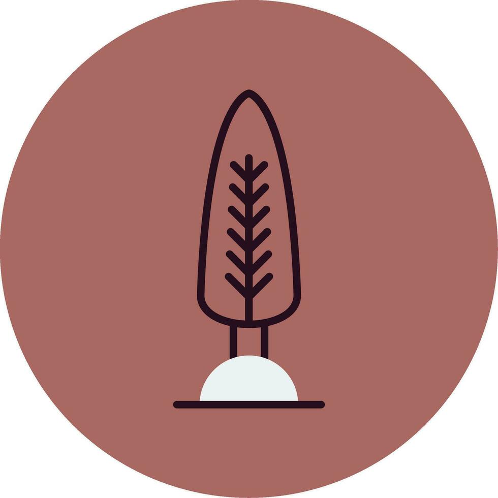 Cypress Vector Icon