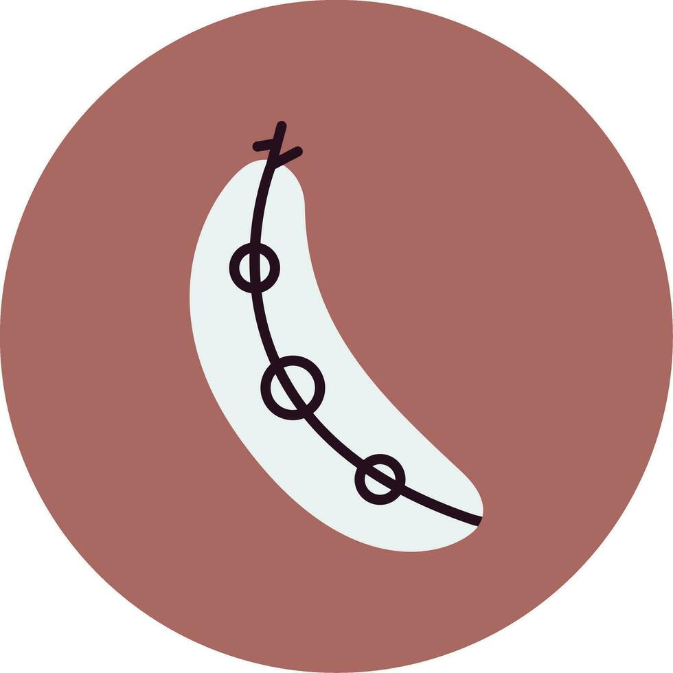 Edamame Vector Icon