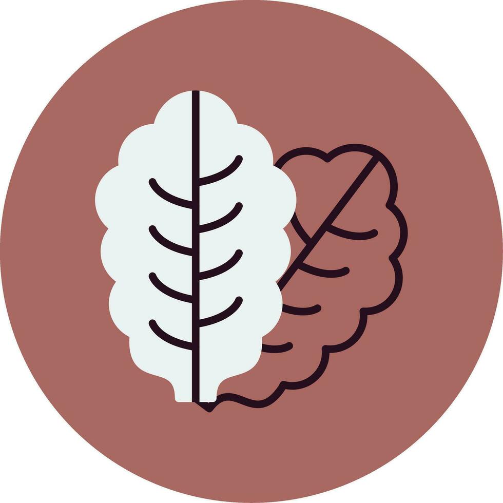Lettuce Vector Icon