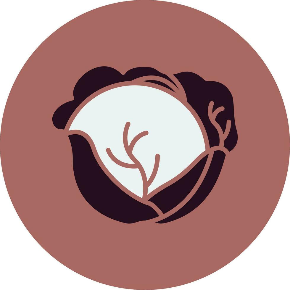 Red Cabbage Vector Icon