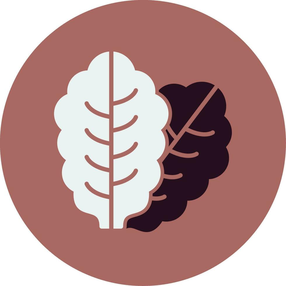 Lettuce Vector Icon