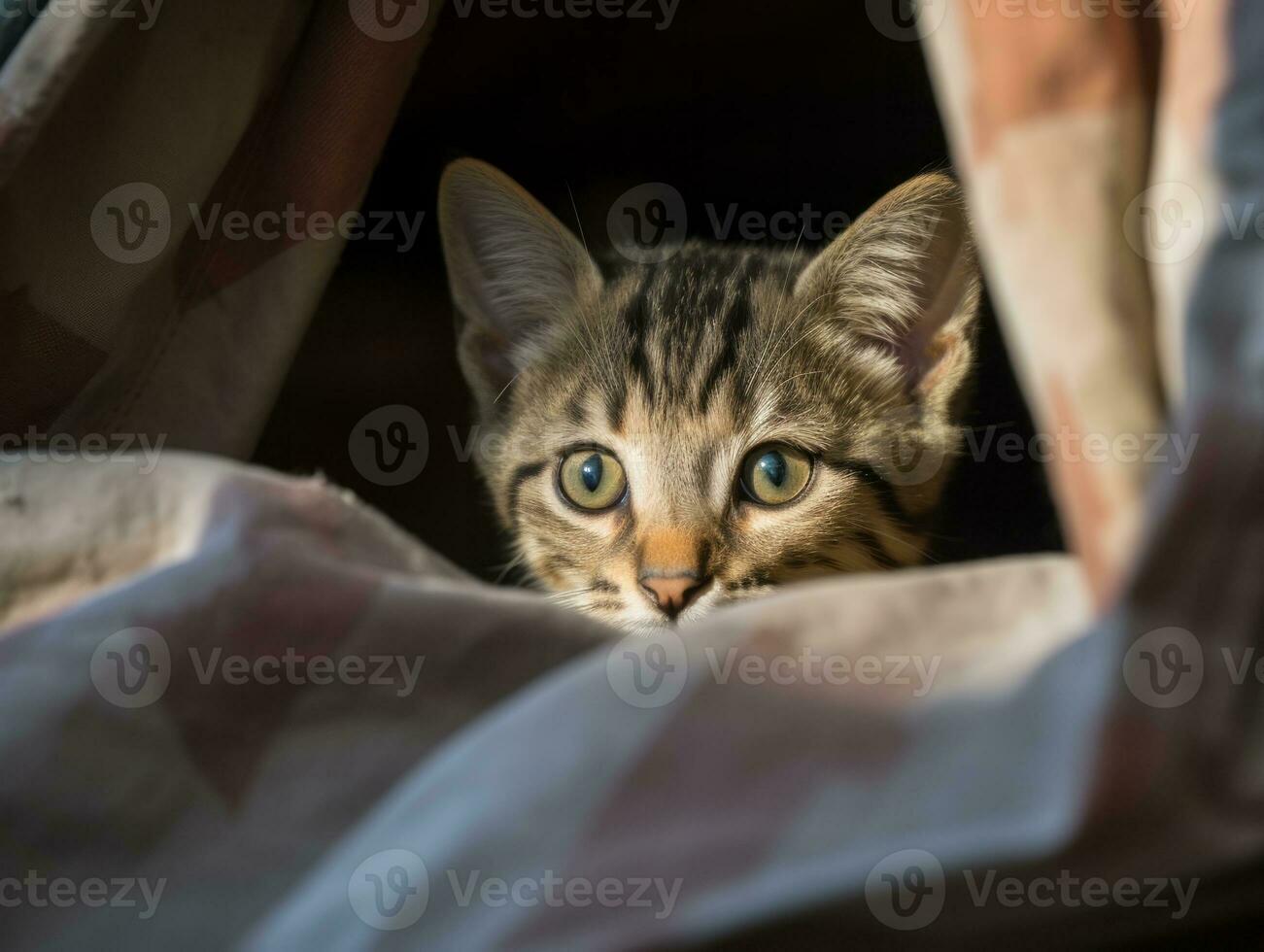 adorable kitten peeking out from behind a curtain AI Generative photo
