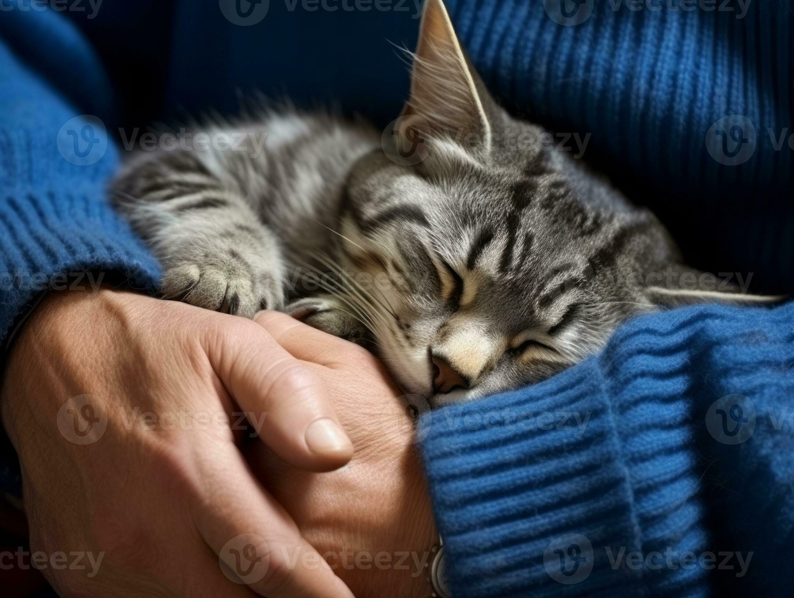 Cat being cradled by a loving owner AI Generative 32691594 Stock Photo