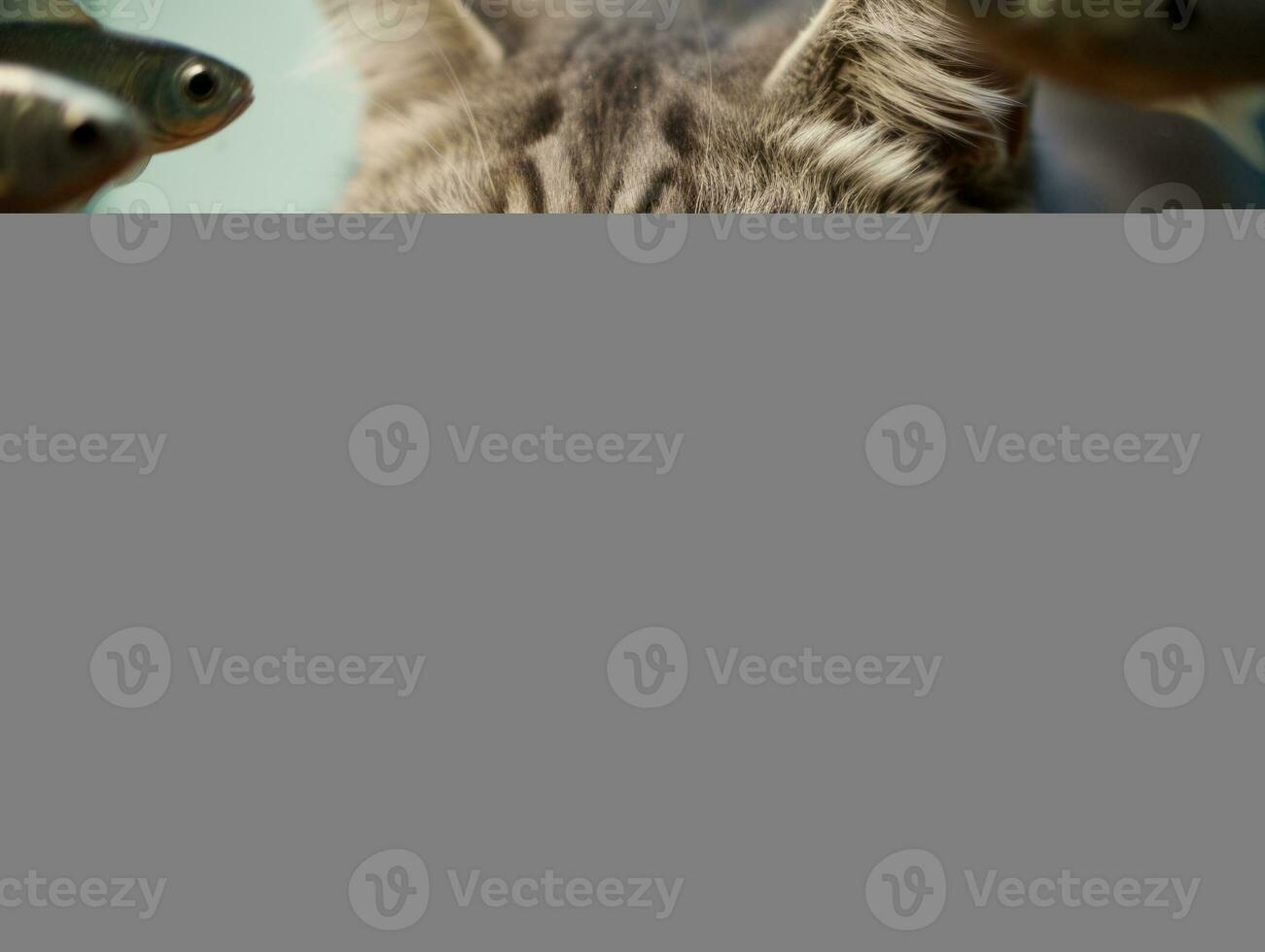 Inquisitive cat peering into an open fish tank with fascination AI Generative photo