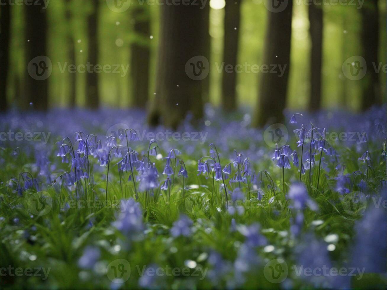 Sunlight shines through beech trees in the bluebell woods of Hallerbos in Belgium AI-Generated photo