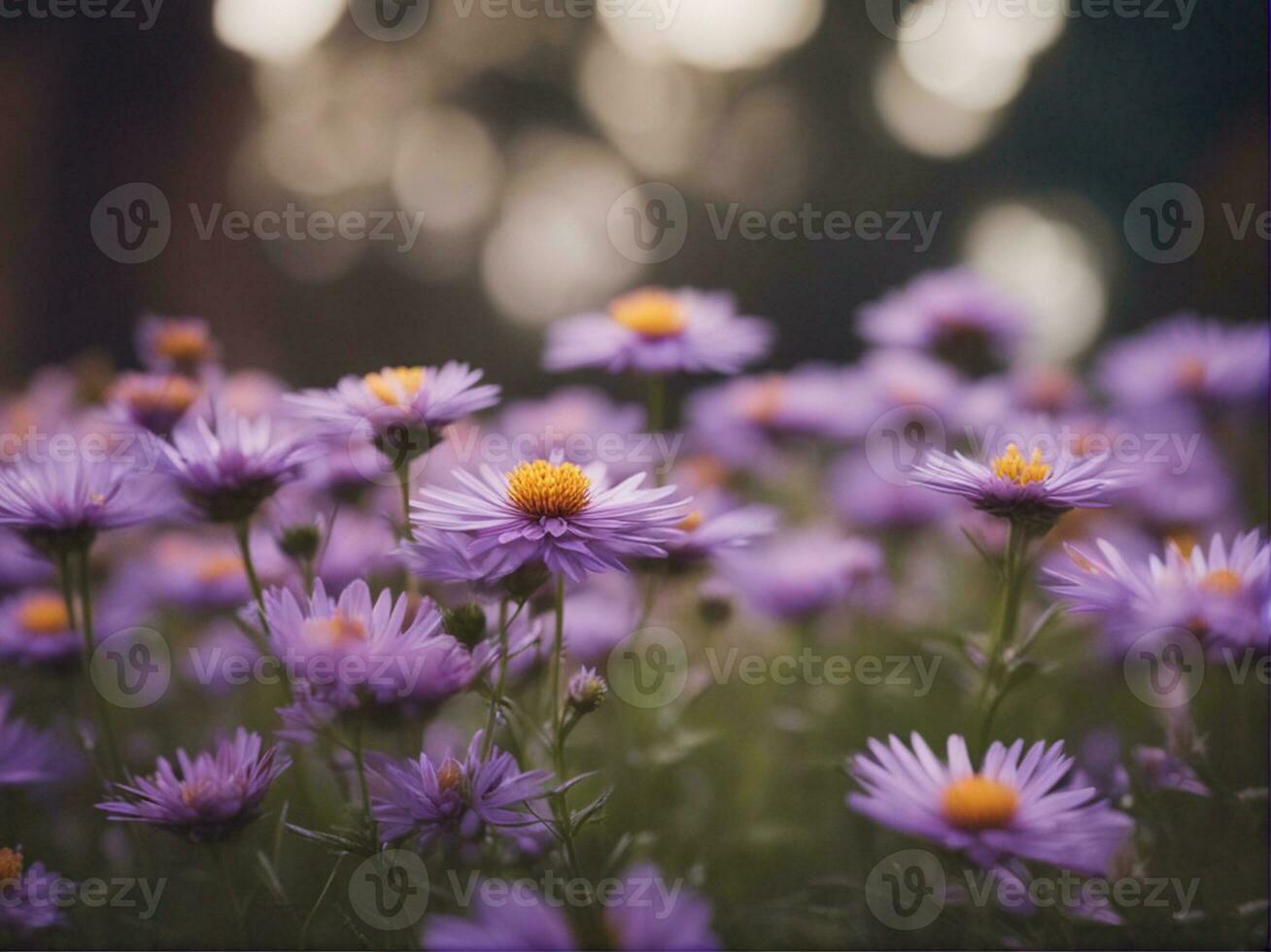 campo de Violeta aster tongolensis púrpura crisantemo flores generado por ai generado por ai foto