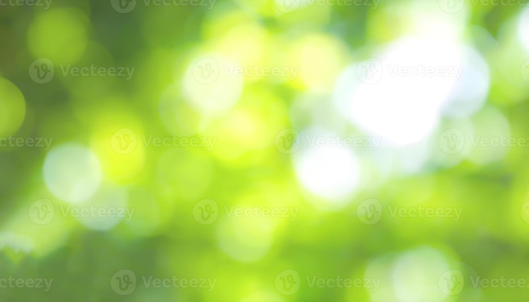 Bokeh colorful round lights for festival night parties.bubble blur background. . photo